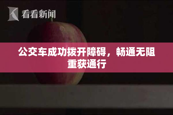 公交车成功拨开障碍，畅通无阻重获通行