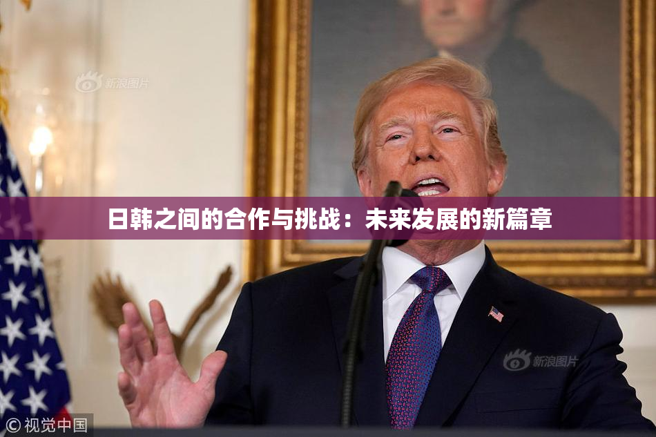 日韩之间的合作与挑战：未来发展的新篇章