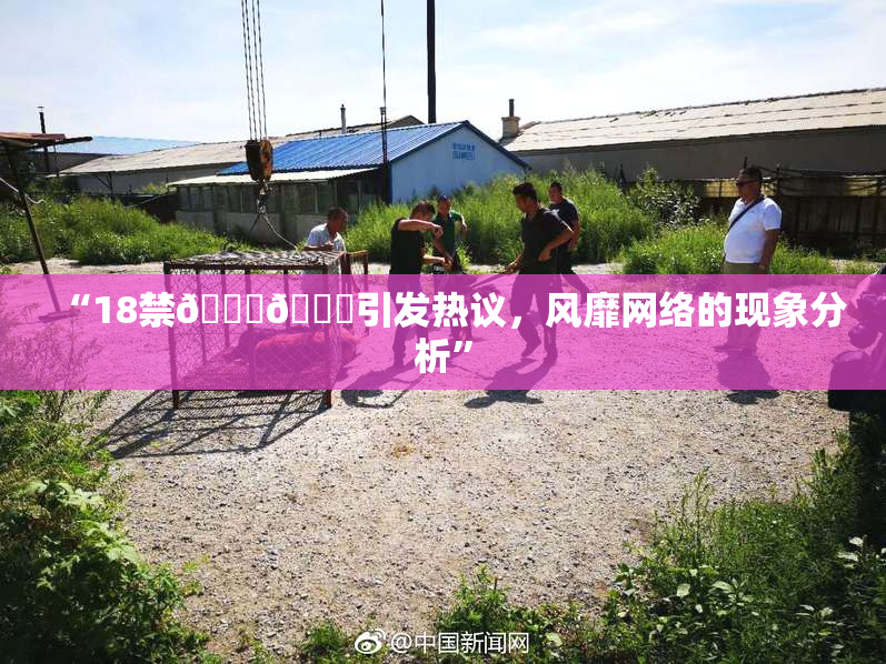 “18禁🍆🍑引发热议，风靡网络的现象分析”