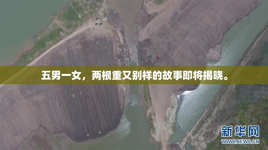五男一女，两根重又别样的故事即将揭晓。