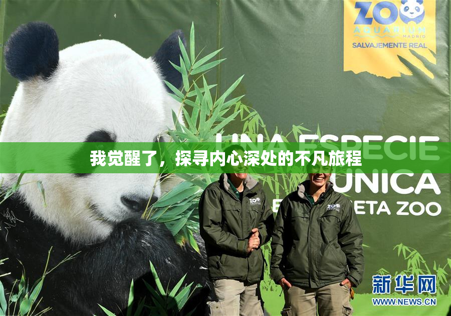 我觉醒了，探寻内心深处的不凡旅程