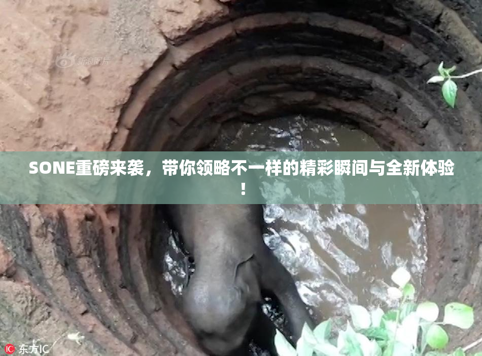 SONE重磅来袭，带你领略不一样的精彩瞬间与全新体验！