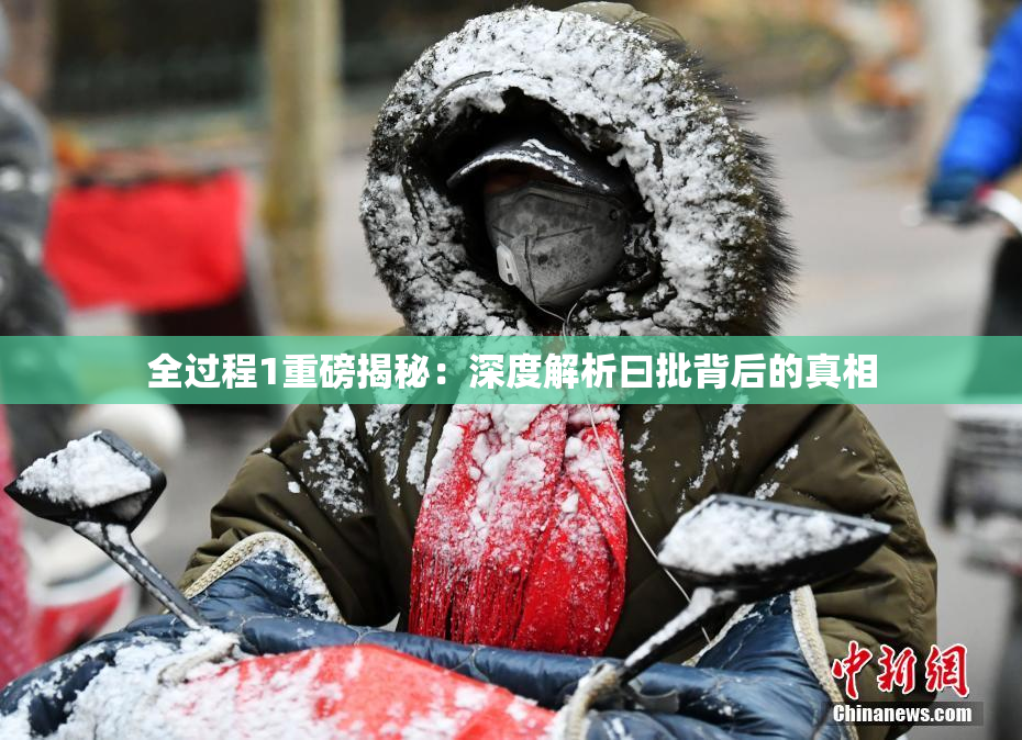 全过程1重磅揭秘：深度解析曰批背后的真相