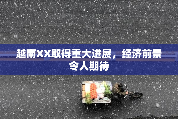 越南XX取得重大进展，经济前景令人期待