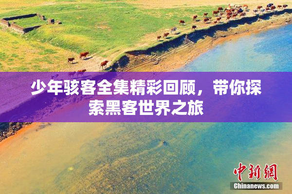 少年骇客全集精彩回顾，带你探索黑客世界之旅