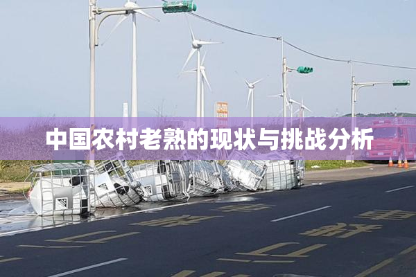 中国农村老熟的现状与挑战分析