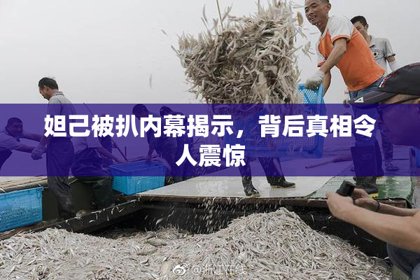 妲己被扒内幕揭示，背后真相令人震惊
