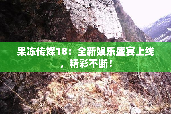 果冻传媒18：全新娱乐盛宴上线，精彩不断！