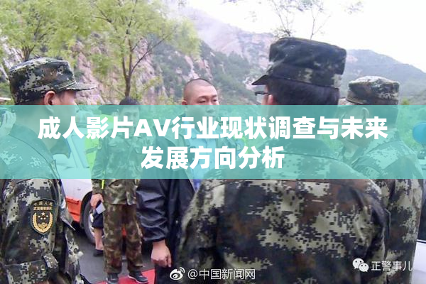 成人影片AV行业现状调查与未来发展方向分析
