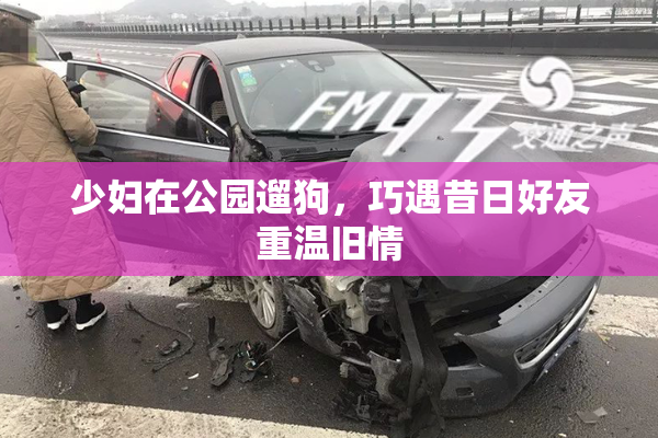 少妇在公园遛狗，巧遇昔日好友重温旧情