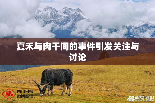 夏禾与肉干间的事件引发关注与讨论