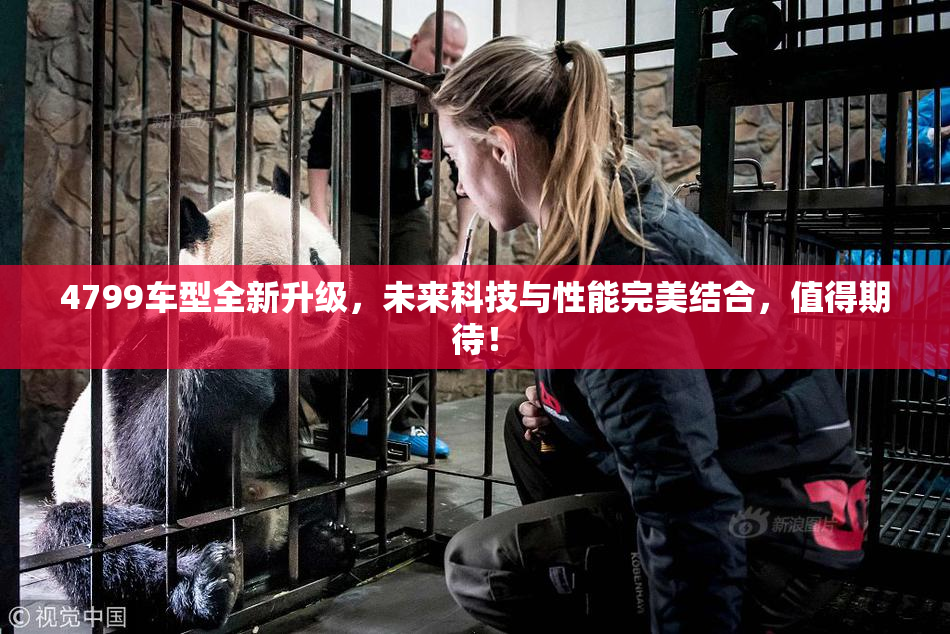 4799车型全新升级，未来科技与性能完美结合，值得期待！
