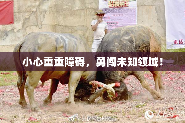 小心重重障碍，勇闯未知领域！