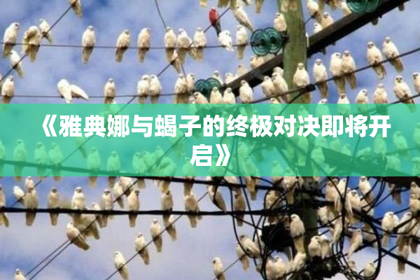 《雅典娜与蝎子的终极对决即将开启》