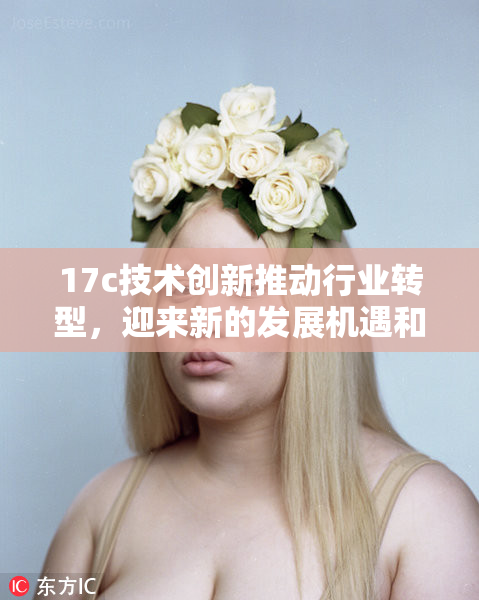 17c技术创新推动行业转型，迎来新的发展机遇和挑战