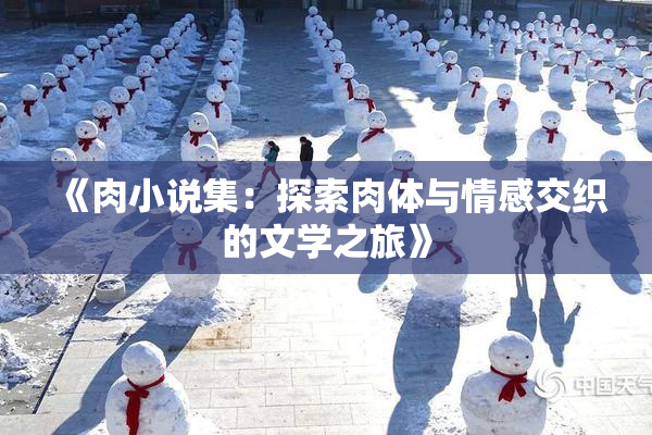 《肉小说集：探索肉体与情感交织的文学之旅》