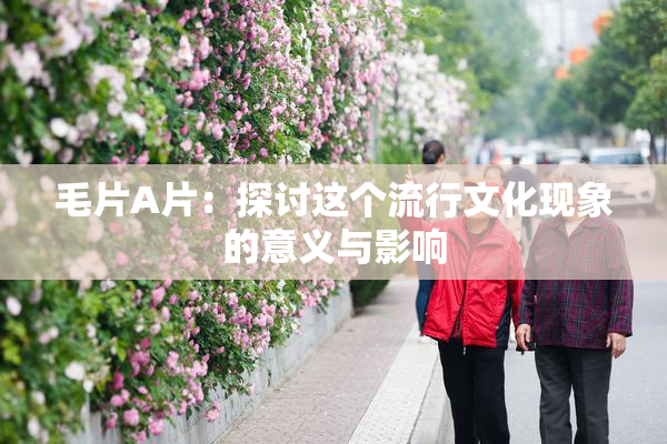 毛片A片：探讨这个流行文化现象的意义与影响