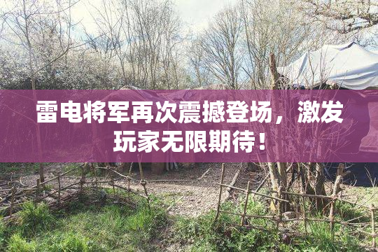 雷电将军再次震撼登场，激发玩家无限期待！