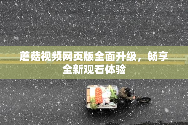 蘑菇视频网页版全面升级，畅享全新观看体验