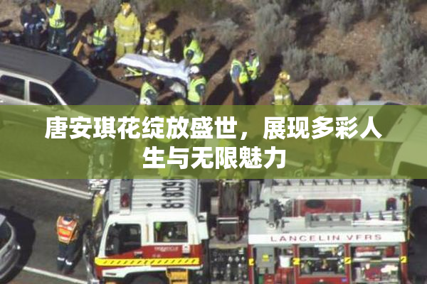 唐安琪花绽放盛世，展现多彩人生与无限魅力