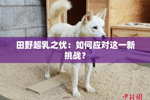 田野超乳之忧：如何应对这一新挑战？