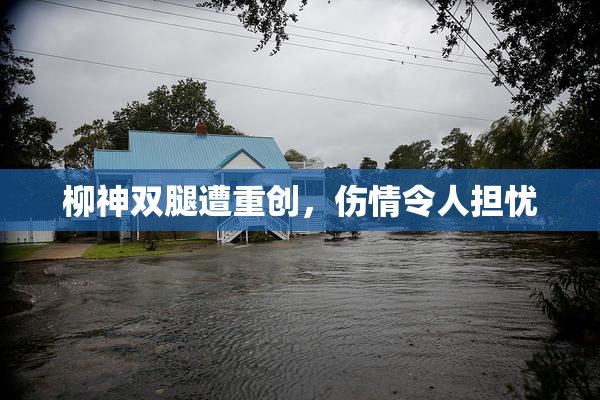 柳神双腿遭重创，伤情令人担忧