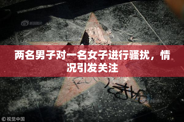 两名男子对一名女子进行骚扰，情况引发关注