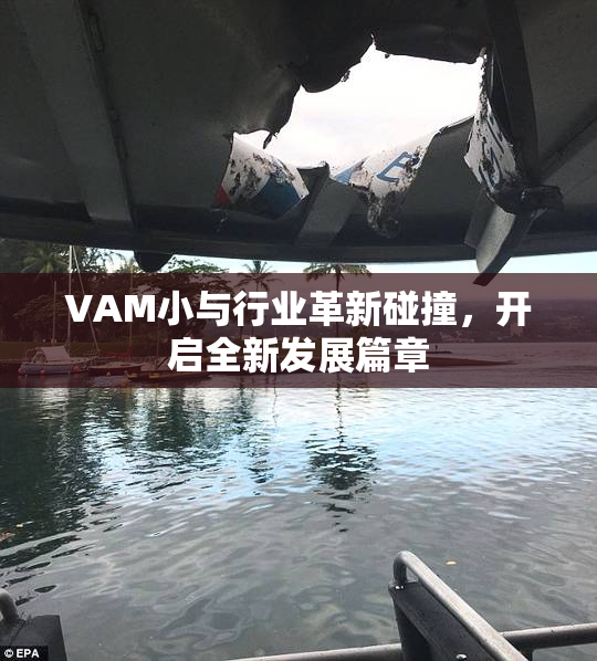 VAM小与行业革新碰撞，开启全新发展篇章