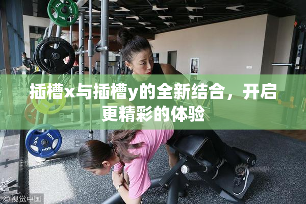插槽x与插槽y的全新结合，开启更精彩的体验