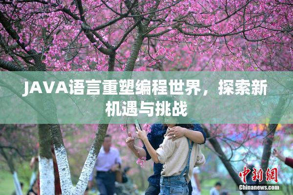 JAVA语言重塑编程世界，探索新机遇与挑战