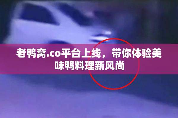 老鸭窝.co平台上线，带你体验美味鸭料理新风尚