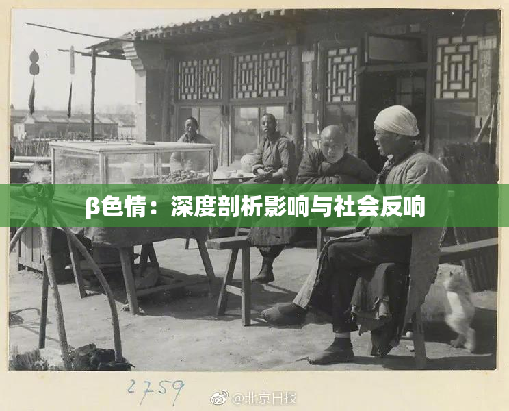 β色情：深度剖析影响与社会反响