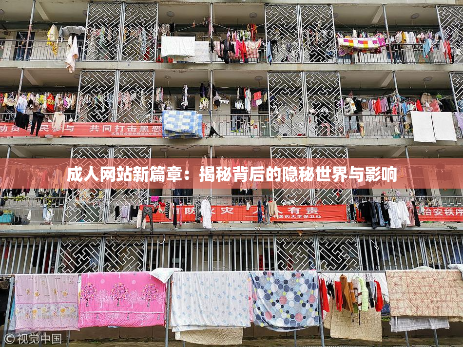 成人网站新篇章：揭秘背后的隐秘世界与影响
