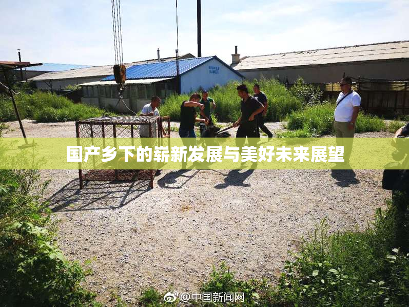 国产乡下的崭新发展与美好未来展望