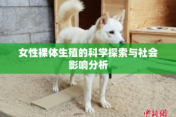 女性裸体生殖的科学探索与社会影响分析