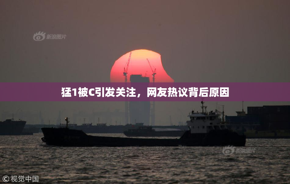 猛1被C引发关注，网友热议背后原因