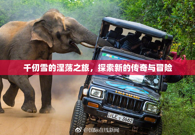 千仞雪的涅荡之旅，探索新的传奇与冒险