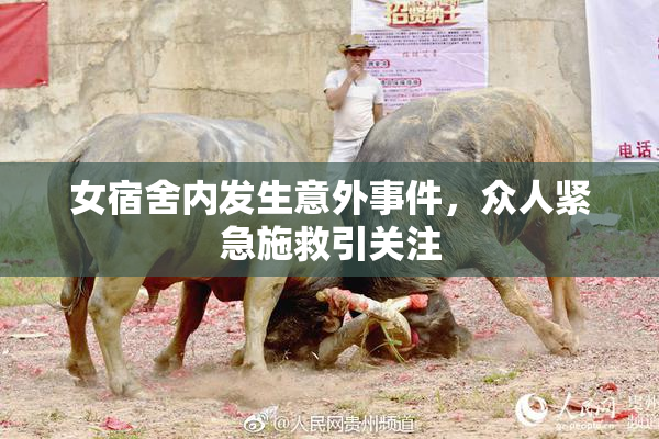 女宿舍内发生意外事件，众人紧急施救引关注