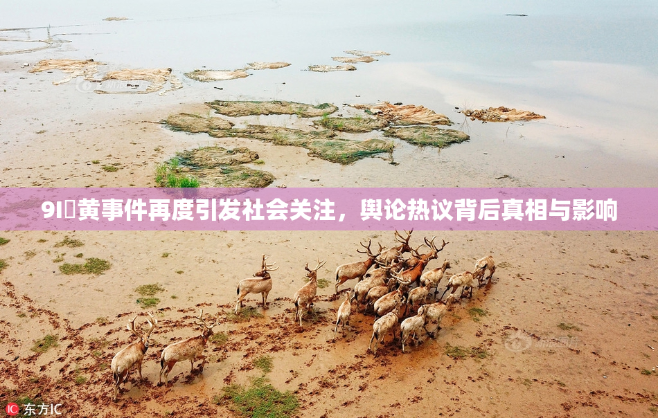 9I婬黄事件再度引发社会关注，舆论热议背后真相与影响