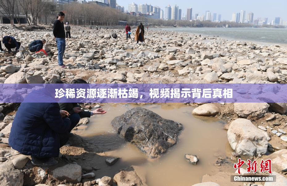 珍稀资源逐渐枯竭，视频揭示背后真相