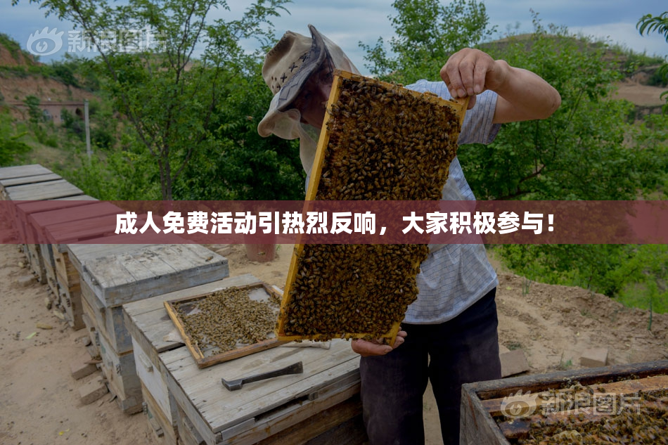 成人免费活动引热烈反响，大家积极参与！