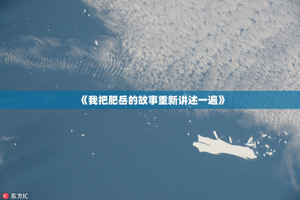 《我把肥岳的故事重新讲述一遍》