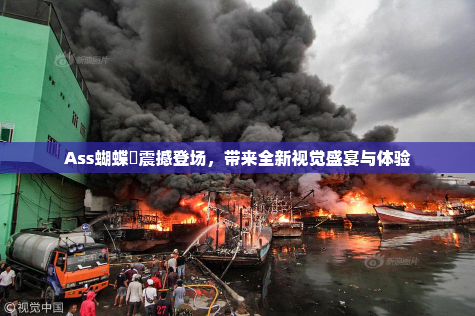 Ass蝴蝶泬震撼登场，带来全新视觉盛宴与体验