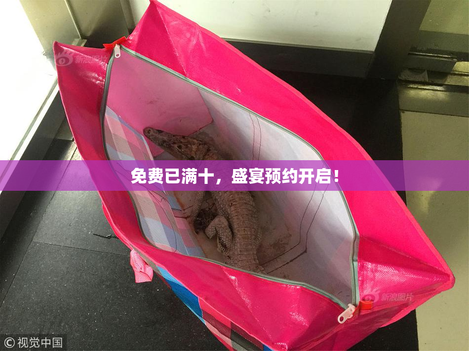 免费已满十，盛宴预约开启！
