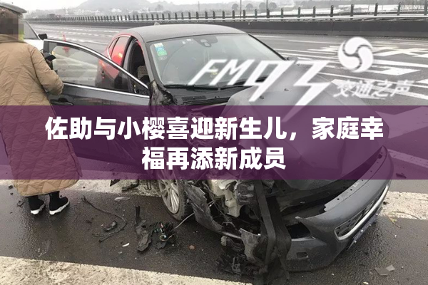 佐助与小樱喜迎新生儿，家庭幸福再添新成员