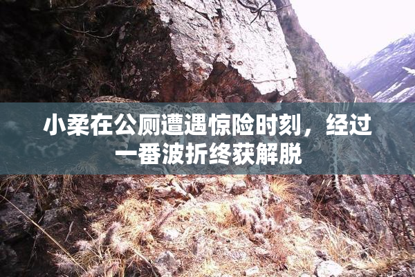 小柔在公厕遭遇惊险时刻，经过一番波折终获解脱