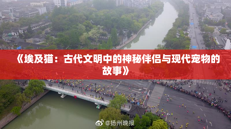 《埃及猫：古代文明中的神秘伴侣与现代宠物的故事》