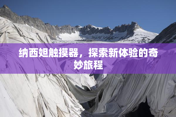 纳西妲触摸器，探索新体验的奇妙旅程