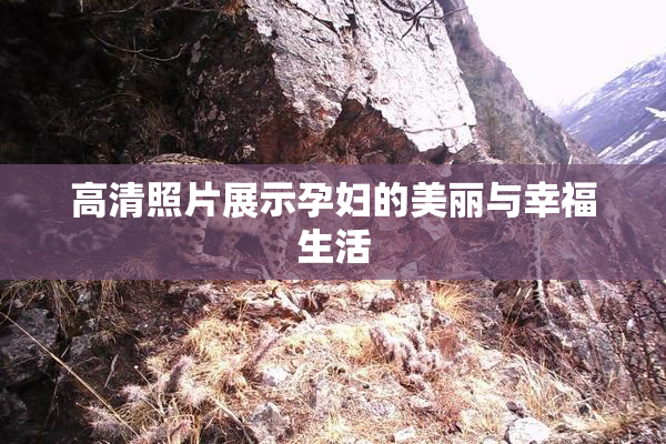 高清照片展示孕妇的美丽与幸福生活