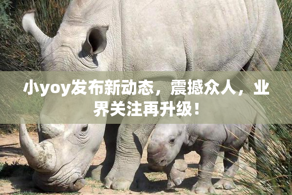 小yoy发布新动态，震撼众人，业界关注再升级！